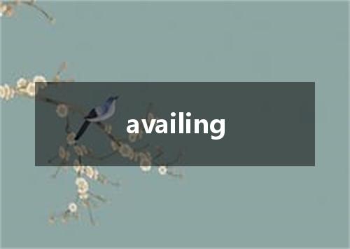 availing是什么意思