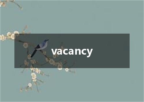 vacancy是什么意思
