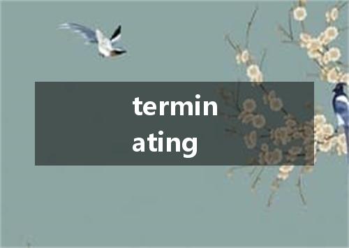 terminating是什么意思