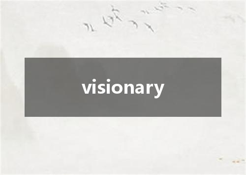 visionary是什么意思