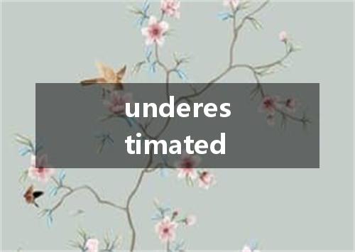 underestimated是什么意思