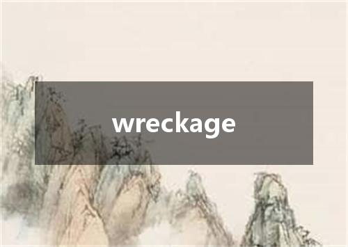 wreckage是什么意思