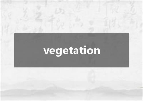 vegetation是什么意思