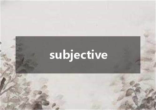 subjective是什么意思