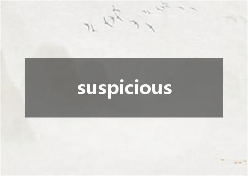 suspicious是什么意思