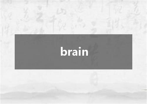 brain是什么意思