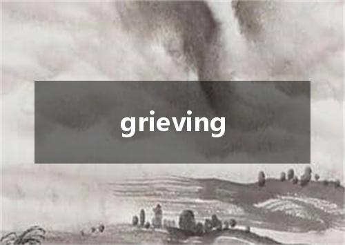grieving是什么意思