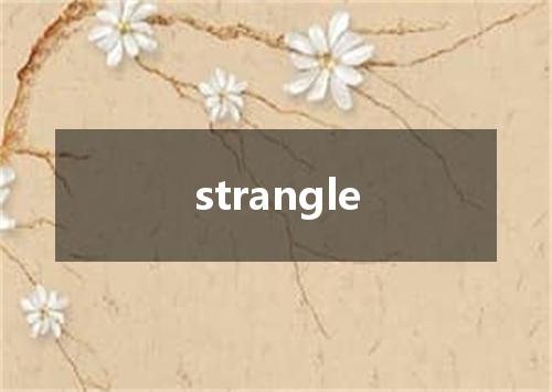 strangle是什么意思