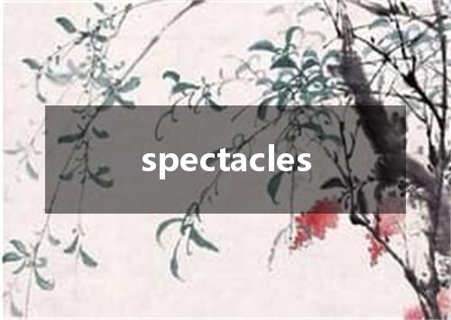spectacles是什么意思