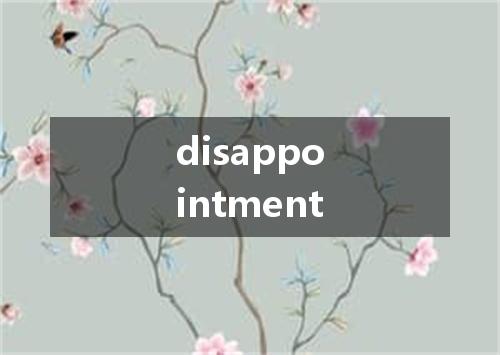 disappointment是什么意思