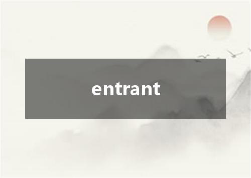 entrant是什么意思