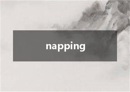 napping是什么意思