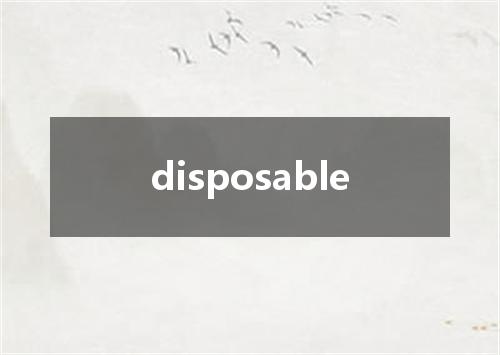 disposable是什么意思