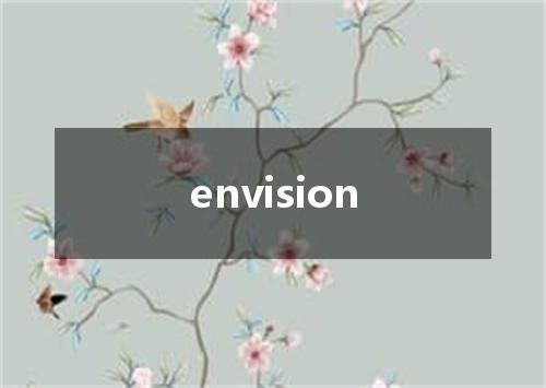 envision是什么意思