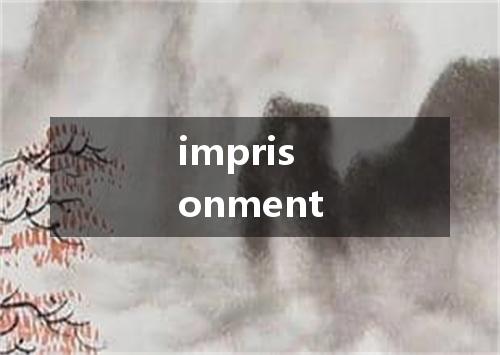 imprisonment是什么意思