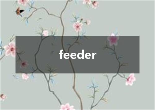 feeder是什么意思