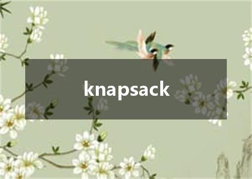 knapsack是什么意思