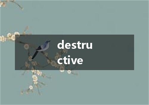 destructive是什么意思