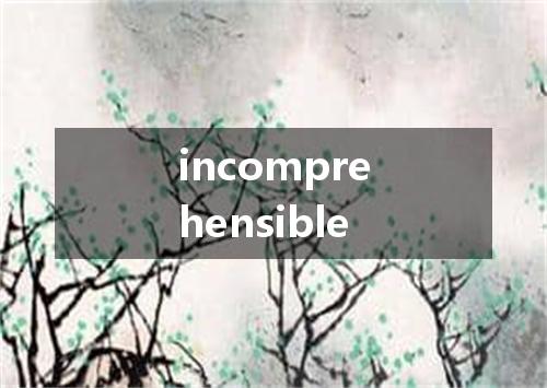 incomprehensible是什么意思