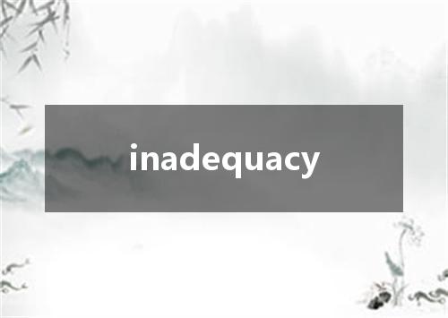 inadequacy是什么意思