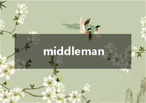 middleman是什么意思