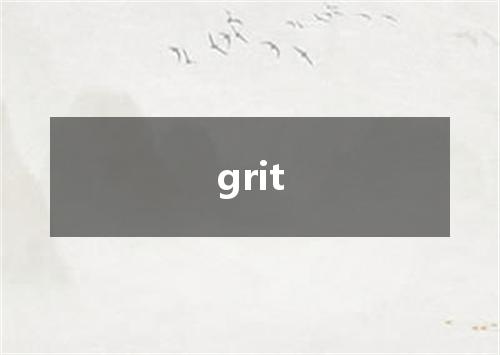 grit是什么意思