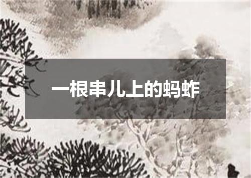 一根串儿上的蚂蚱