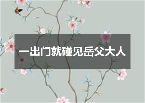 一出门就碰见岳父大人