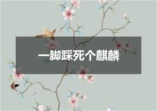 一脚踩死个麒麟