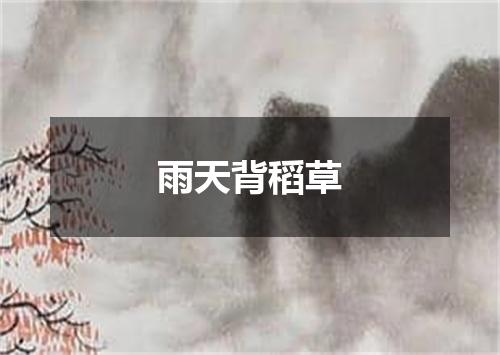 雨天背稻草