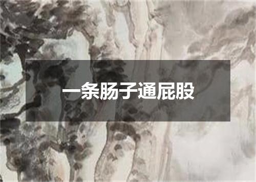 一条肠子通屁股