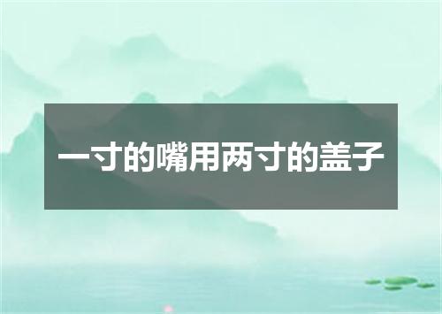 一寸的嘴用两寸的盖子