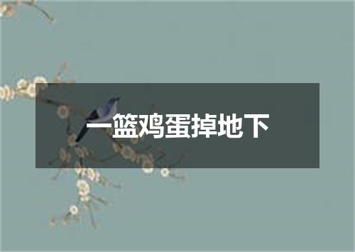 一篮鸡蛋掉地下