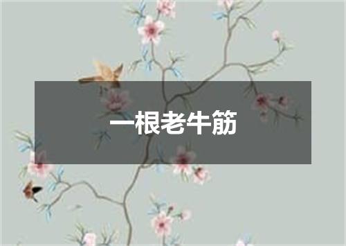 一根老牛筋