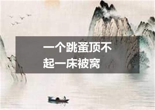 一个跳蚤顶不起一床被窝