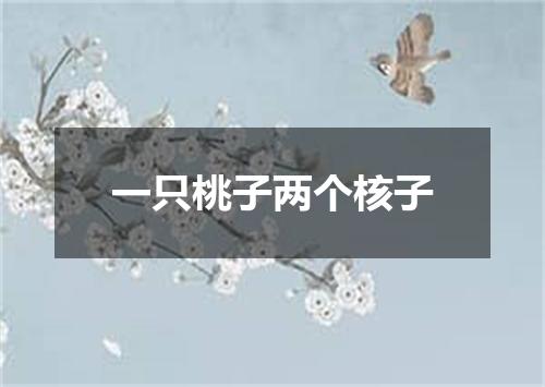 一只桃子两个核子