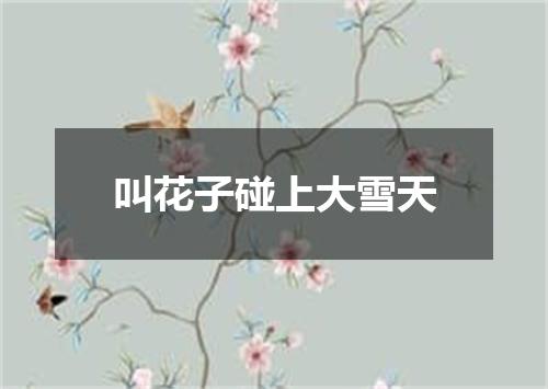 叫花子碰上大雪天