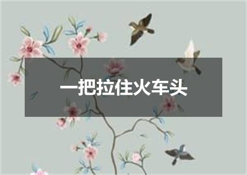 一把拉住火车头