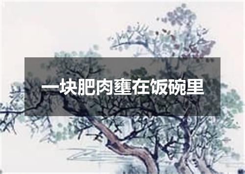 一块肥肉壅在饭碗里