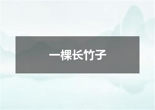 一棵长竹子