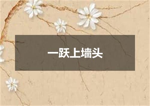 一跃上墙头