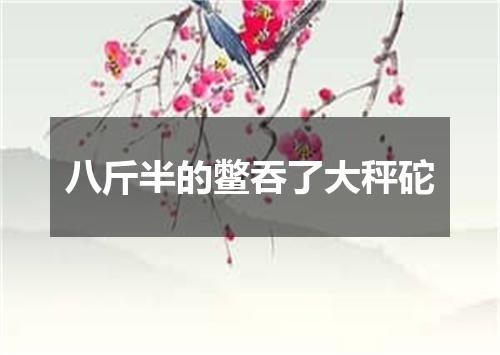 八斤半的鳖吞了大秤砣