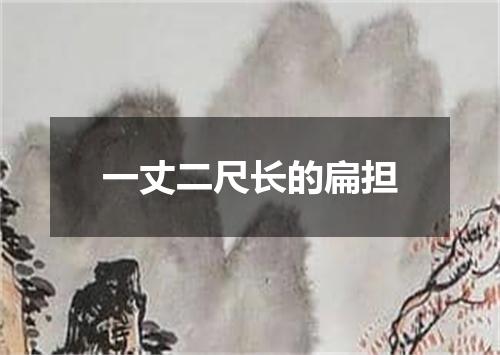一丈二尺长的扁担