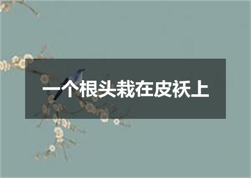 一个根头栽在皮袄上