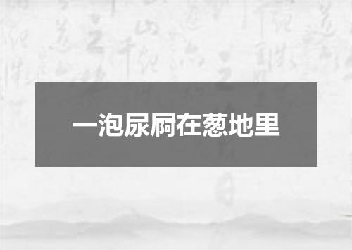 一泡尿屙在葱地里
