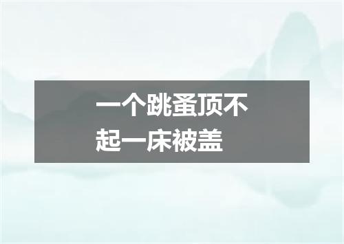 一个跳蚤顶不起一床被盖