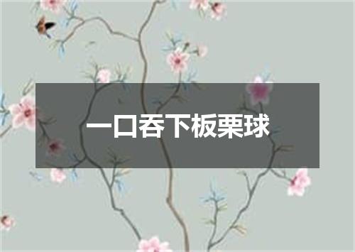 一口吞下板栗球