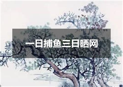 一日捕鱼三日晒网