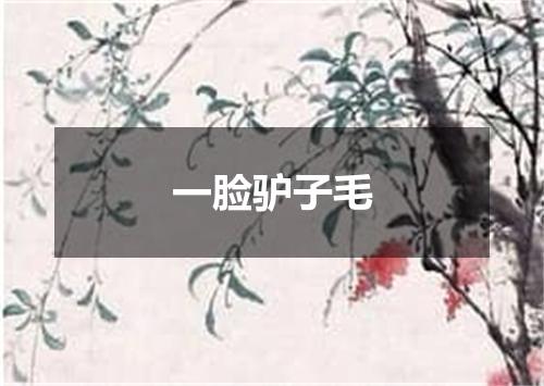 一脸驴子毛