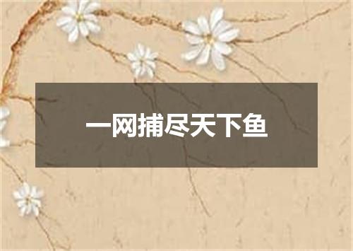 一网捕尽天下鱼